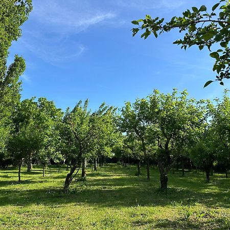 Villa Dunya Montepulciano Stazione エクステリア 写真