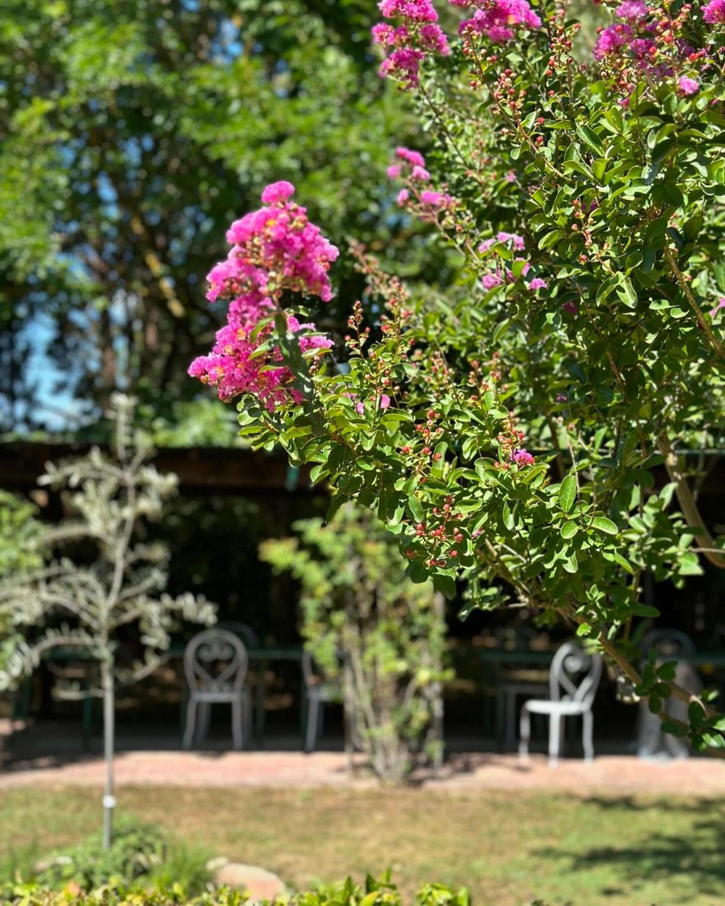 Villa Dunya Montepulciano Stazione エクステリア 写真